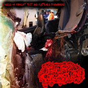 I Failed My Forklift Test And Flattened 7 Coworkers