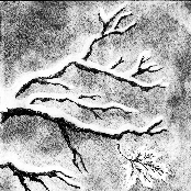 As Fall Turns to Winter