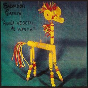 Araña Vegetal Al Viento