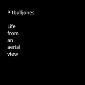 Life From an Aerial Point of View