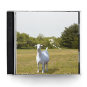 Alicia (feat. Alvin Risk)