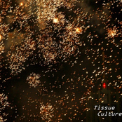 The Briarside Sessions EP