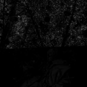 Streams of the Hidden Light