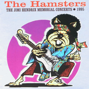 Burning Of The Midnight Lamp by The Hamsters