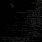 Into the Sky - Single