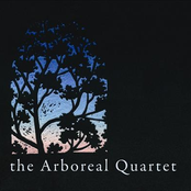 Mountain by The Arboreal Quartet