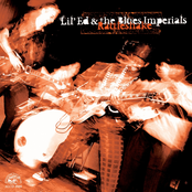 Lil Ed And The Blues Imperials: Rattleshake