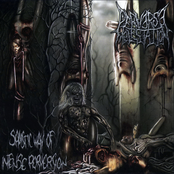 Sadistic Way Of Intense Perver