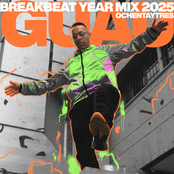 Breakbeat Year Mix 2025