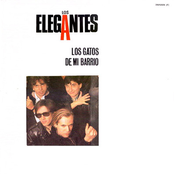 Los Gatos de mi Barrio