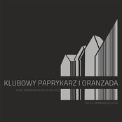 Klubowy Paprykarz I Oranżada: Nowe brzmienie Big Beatu [Na noc]