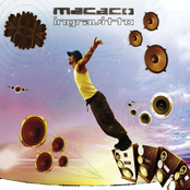 Fast Lane by Macaco