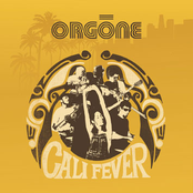 Give It Up by Orgone