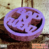 Ruff Like Pavement by Rappin' Ron & Ant Diddley Dog