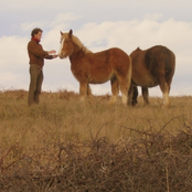 Singles #1 - Acoustic