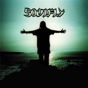 Ain't No Feeble Bastard by Soulfly