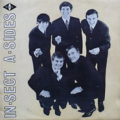 In-Sect A-Sides