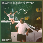 To Name All the Bees in the Backyard