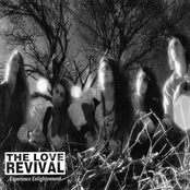 Experience Enlightenment