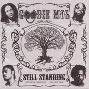 The Experience by Goodie Mob
