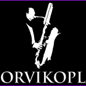 Torvikopla