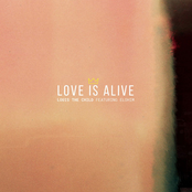 Love Is Alive (Remixes)