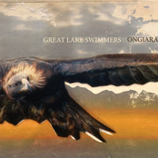 I Am Part Of A Large Family by Great Lake Swimmers