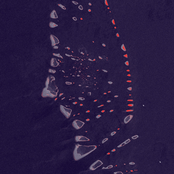 The Isle of Isms