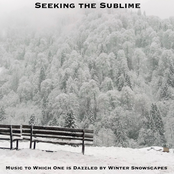 Music to Which One is Dazzled by Winter Snowscapes