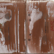 Sensible Nectar/Spermwhales split cassette