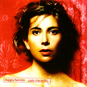 Magos Herrera: Pais Maravilla