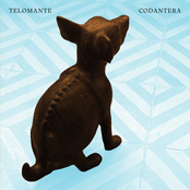 Codantera