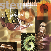 Stay Gold by Stevie Wonder