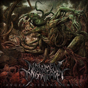 Monument Of Misanthropy by Monument Of Misanthropy