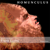 Homunculus