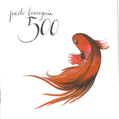 500 by Paolo Benvegnù