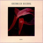 Bright Shadows by Controlled Bleeding