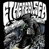 A Universe Far From Ours