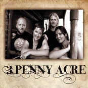 Swing That Hammer by 3 Penny Acre