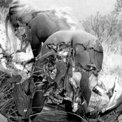 The Beauty In The Filth