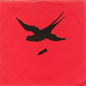 allan vogalan (king kong records holland 1980)