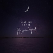 Miss You in the Moonlight