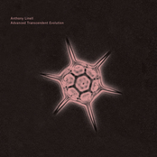 Advanced Transcendent Evolution