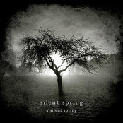 Silent Spring