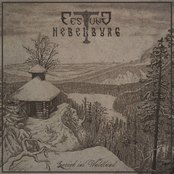 Zurück ins Waldland