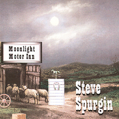 Muley Was A Railroad Man by Steve Spurgin