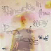 Principles In The Way of Progress