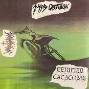 Eerified Catacomb / Mars Creation