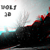 WOLF 3D (demos)