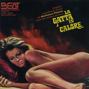 La Gatta In Calore